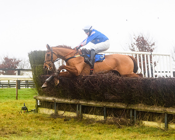 Race 8 - Novice riders Div 2 (89 of 126)