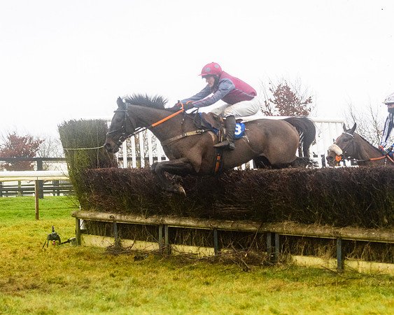Race 8 - Novice riders Div 2 (97 of 126)
