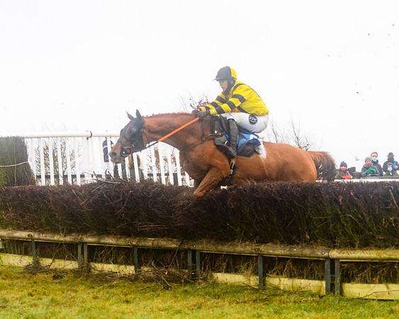 Race 8 - Novice riders Div 2 (102 of 126)