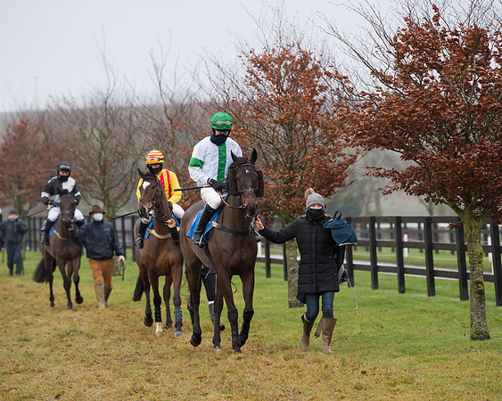 Race 9 - Open Maiden Div 1  (8 of 122)