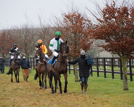 Race 9 - Open Maiden Div 1  (9 of 122)
