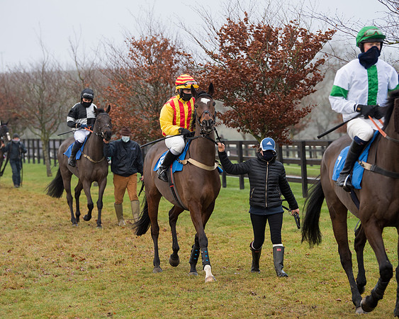 Race 9 - Open Maiden Div 1  (11 of 122)
