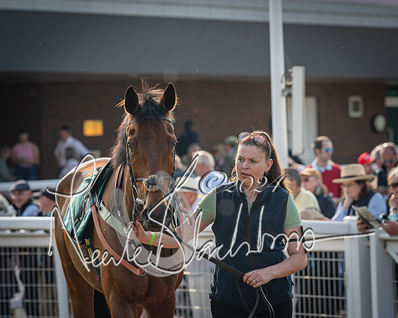Race 2 - The Venatour sports travel intermediate point to point hunters’ steeplechase 5 year olds and over 3m2f (18 of 163)