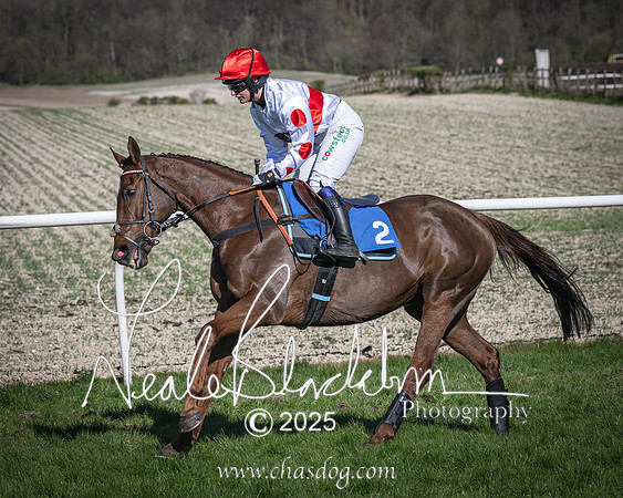 Race 6 - Veteran horse (31 of 109)