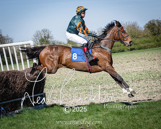 Race 5 - The restricted (63 of 113)