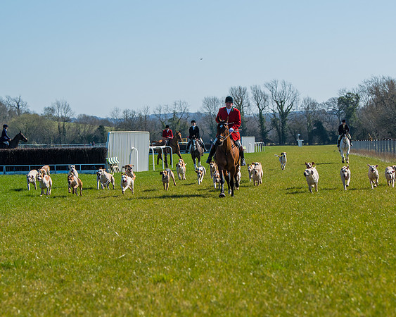 Hunt Horses annd Hound parade (30 of 44)