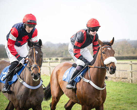 Race 1 - Four and Five year Old Maiden (49 of 137)