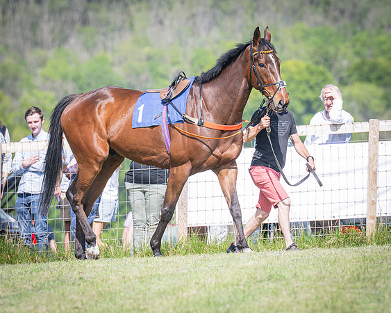 Race 4 Empire De Maulde - Seb Mead winners of The Perry’s of Aylesbury Jaecoo Men’s Open Race (2 of 190)