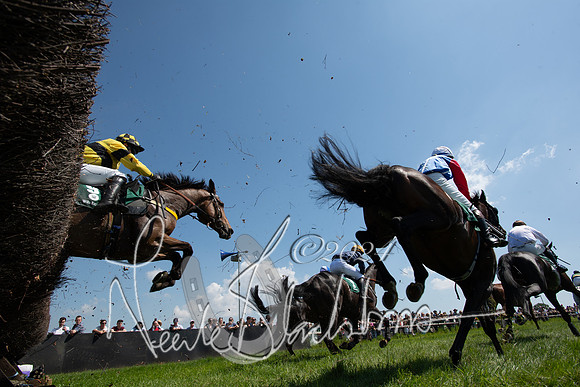 Race 1 - Members (122 of 312)