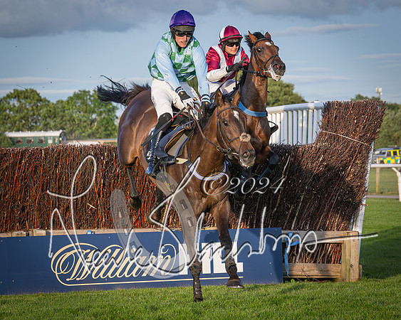 Race 5 - tipsterreviews.co.uk handicap (52 of 107)
