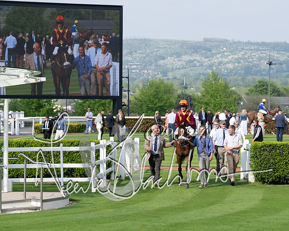Race 1 - The Bottle Green Open Hunters steeplechase 2m62y (69 of 93)