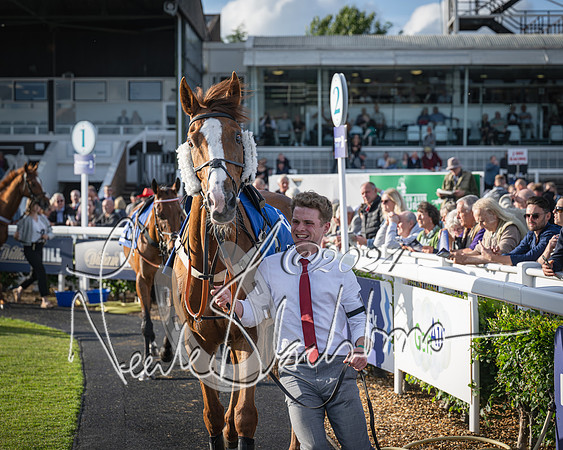 Race 4 - Peretemps Stratford Foxhunters (6 of 168)