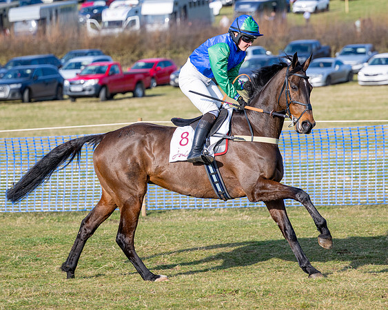 Race 5 - PPORA Five years and over (42 of 163)