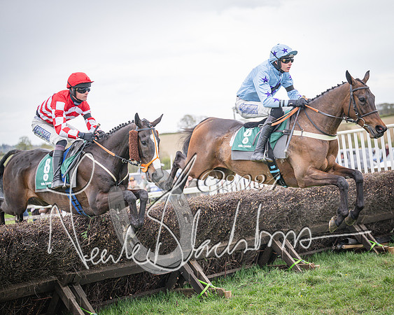 Race 6 - The Restricted Race (39 of 101)