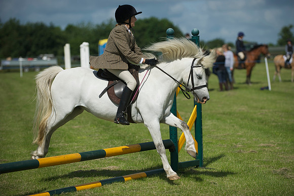 SOHS PC Summer Show at BCA 17th June 2012