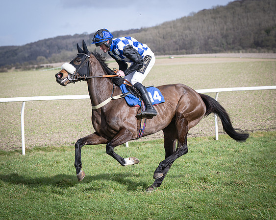 Race 3 - The Maiden Conditions (59 of 214)
