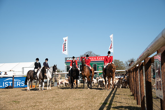 Hunt Horses annd Hound parade (9 of 44)