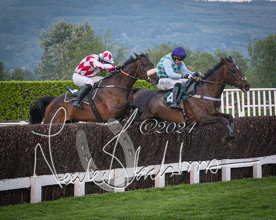 Race - 7 The Royal Gloucester Hussars Open Hunter's steeplechase 2m4f 127y (111 of 210)
