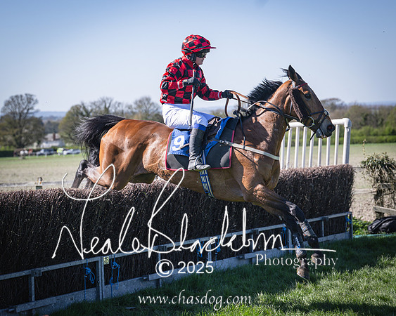 Race 5 - The restricted (89 of 113)