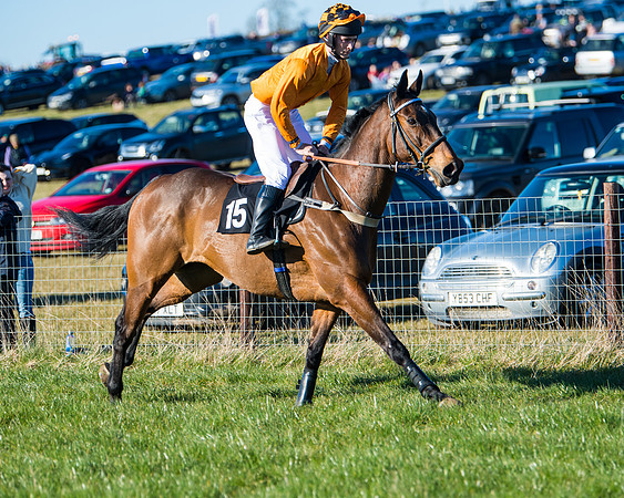 Race 6 - Restricted  (14 of 291)