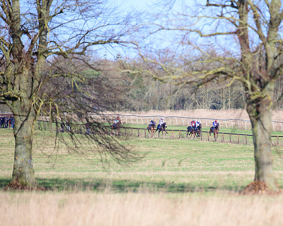 Race 1 - Veteran Horse Conditions (7 of 61)