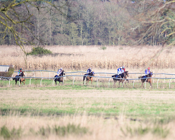 Race 1 - Veteran Horse Conditions (8 of 61)