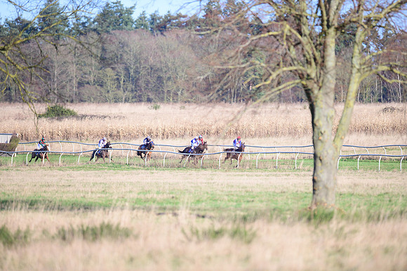 Race 1 - Veteran Horse Conditions (9 of 61)