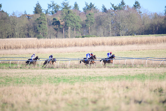 Race 1 - Veteran Horse Conditions (11 of 61)