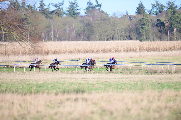 Race 1 - Veteran Horse Conditions (10 of 61)