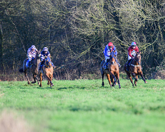 Race 1 - Veteran Horse Conditions (12 of 61)
