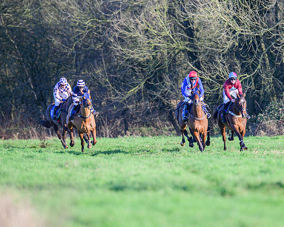 Race 1 - Veteran Horse Conditions (13 of 61)