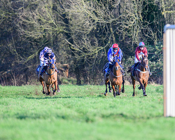 Race 1 - Veteran Horse Conditions (14 of 61)