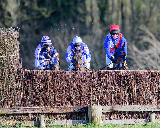 Race 1 - Veteran Horse Conditions (15 of 61)