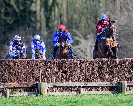 Race 1 - Veteran Horse Conditions (16 of 61)