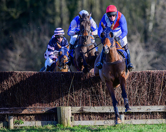 Race 1 - Veteran Horse Conditions (19 of 61)
