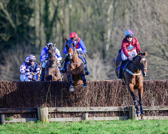 Race 1 - Veteran Horse Conditions (18 of 61)