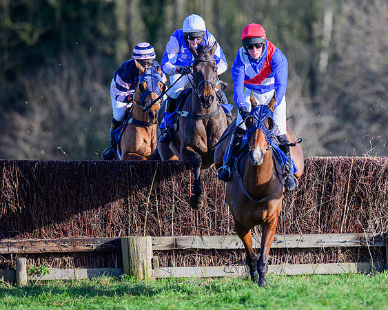 Race 1 - Veteran Horse Conditions (20 of 61)