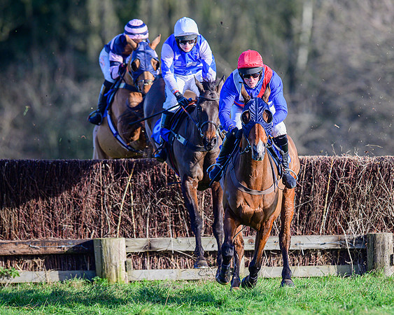 Race 1 - Veteran Horse Conditions (21 of 61)