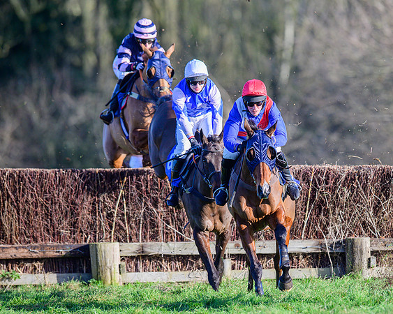 Race 1 - Veteran Horse Conditions (22 of 61)