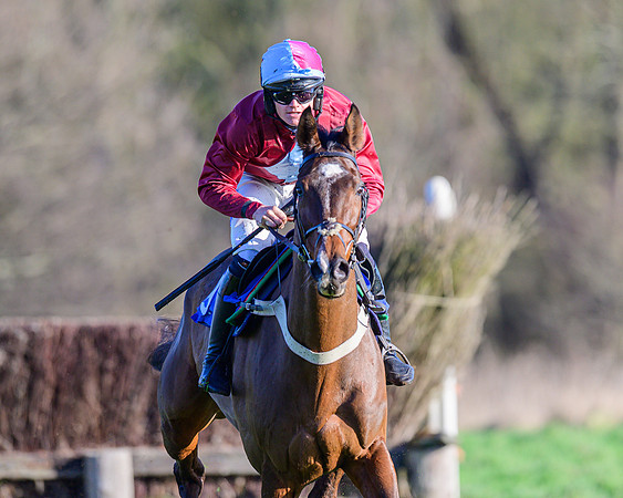 Race 1 - Veteran Horse Conditions (25 of 61)