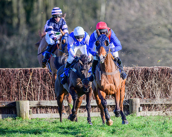 Race 1 - Veteran Horse Conditions (24 of 61)