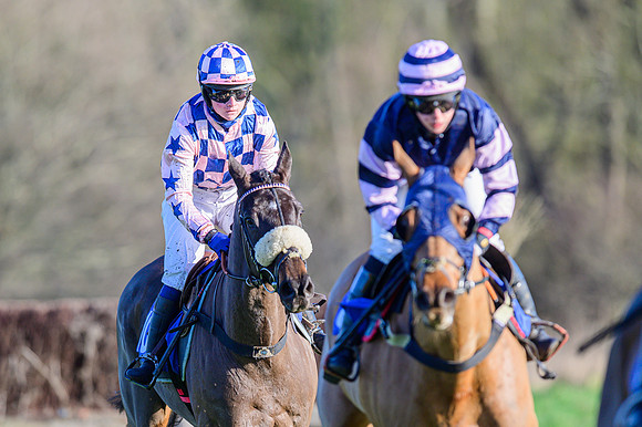 Race 1 - Veteran Horse Conditions (30 of 61)