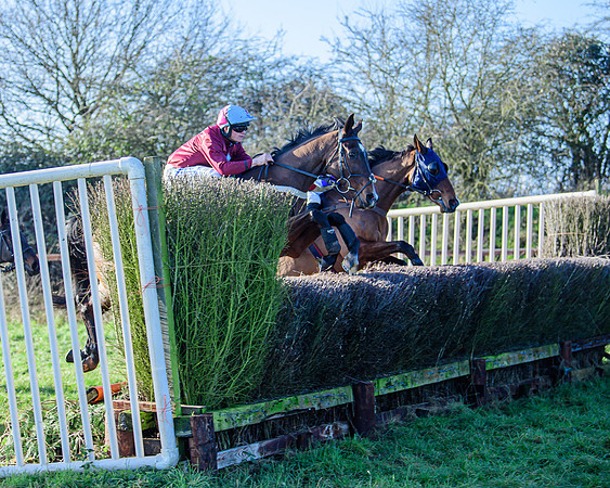 Race 1 - Veteran Horse Conditions (31 of 61)