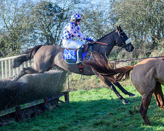 Race 1 - Veteran Horse Conditions (43 of 61)