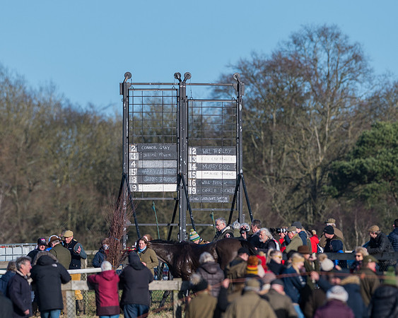 Race 2 - The Open Maiden (1 of 96)
