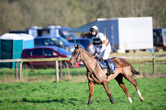 Race 2 - The Open Maiden (10 of 96)