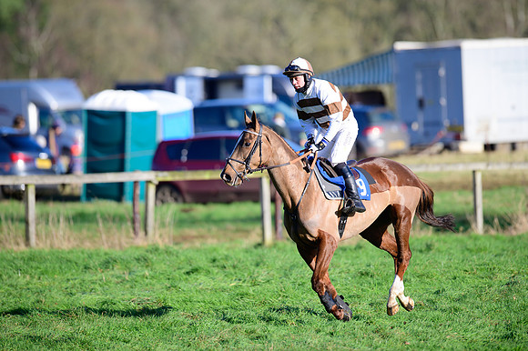 Race 2 - The Open Maiden (11 of 96)