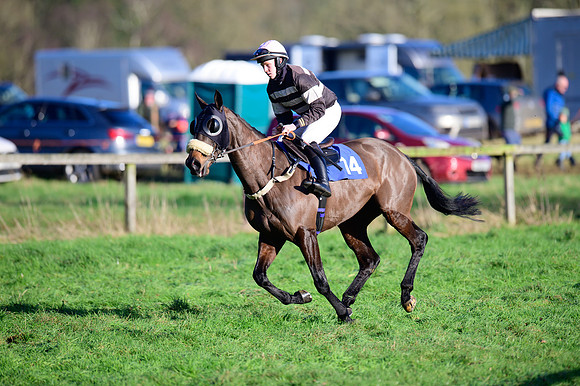 Race 2 - The Open Maiden (13 of 96)