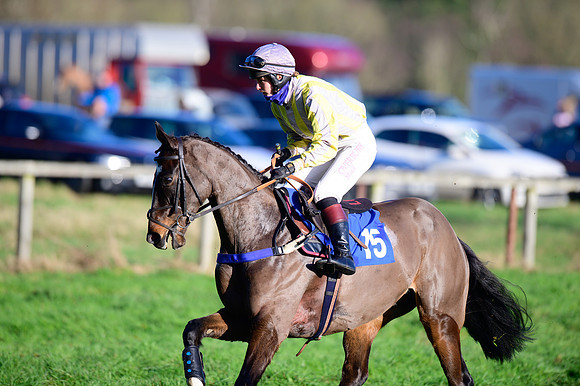 Race 2 - The Open Maiden (16 of 96)