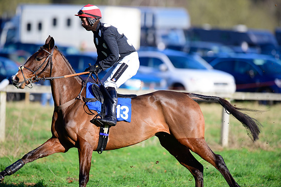 Race 2 - The Open Maiden (20 of 96)